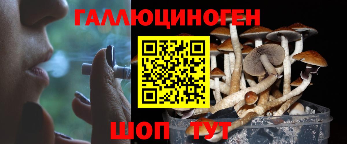 Нефтеюганск  Псилоцибиновые грибы Psilocybe  Вход с VPN 