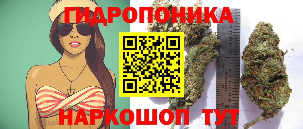 Бошки марихуана SATIVA & INDICA  Вход с VPN  Каннабис индика  Нефтеюганск  МАРИХУАНА индика  Марихуана VHQ 